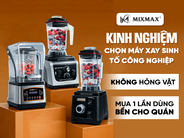 máy xay sinh to công nghiệp