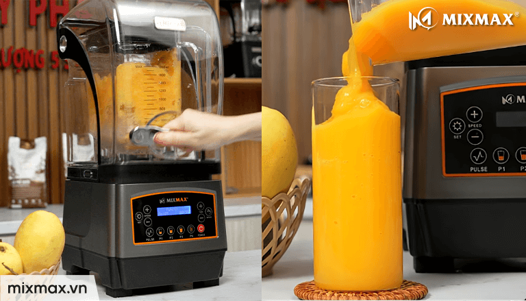 máy xay sinh tố công nghiệp Mixmax 168