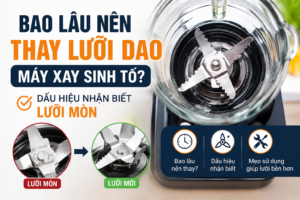 Bao lâu nên thay lưỡi dao máy xay sinh tố? Dấu hiệu nhận biết lưỡi mòn